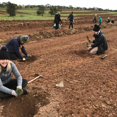 Frahn’s Farm Planting Day